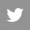 Twitter e1491964783837