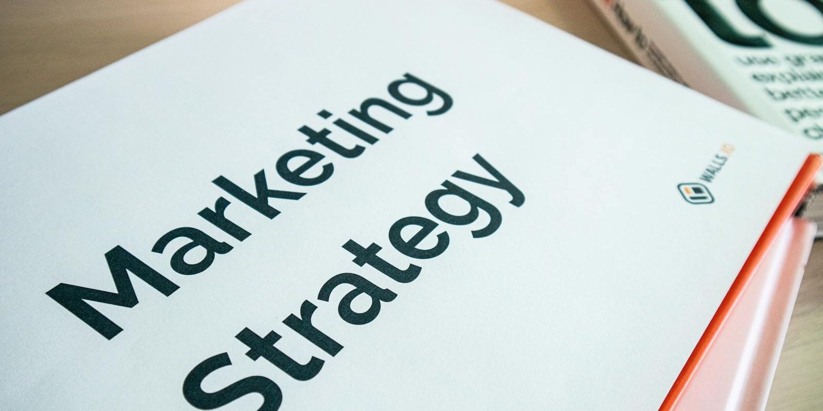 SEO service for 77493